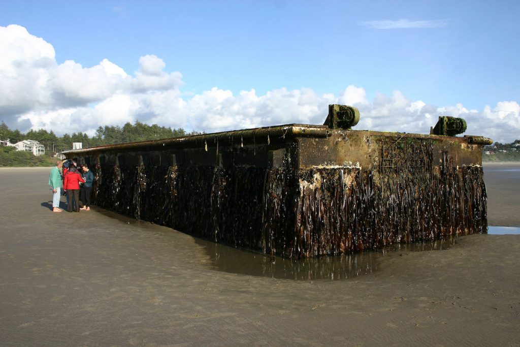 Muelle de pesca japonés arrancado en el tsunami de 2011 que llegó a las costas de EEUU en 2012- John W. Chapman
