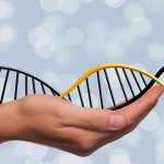 ¿Usted apoyaría la modificación genética para tratar enfermedades?