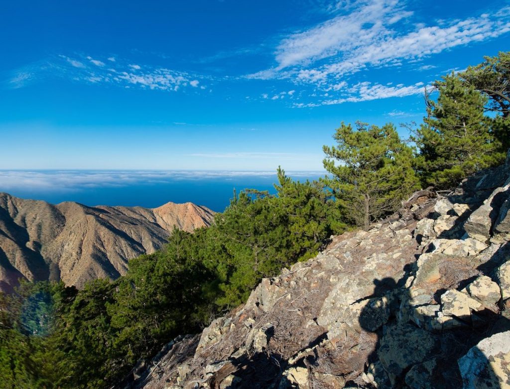Vista panorámica de Isla Cedros- GECI, J A Soriano
