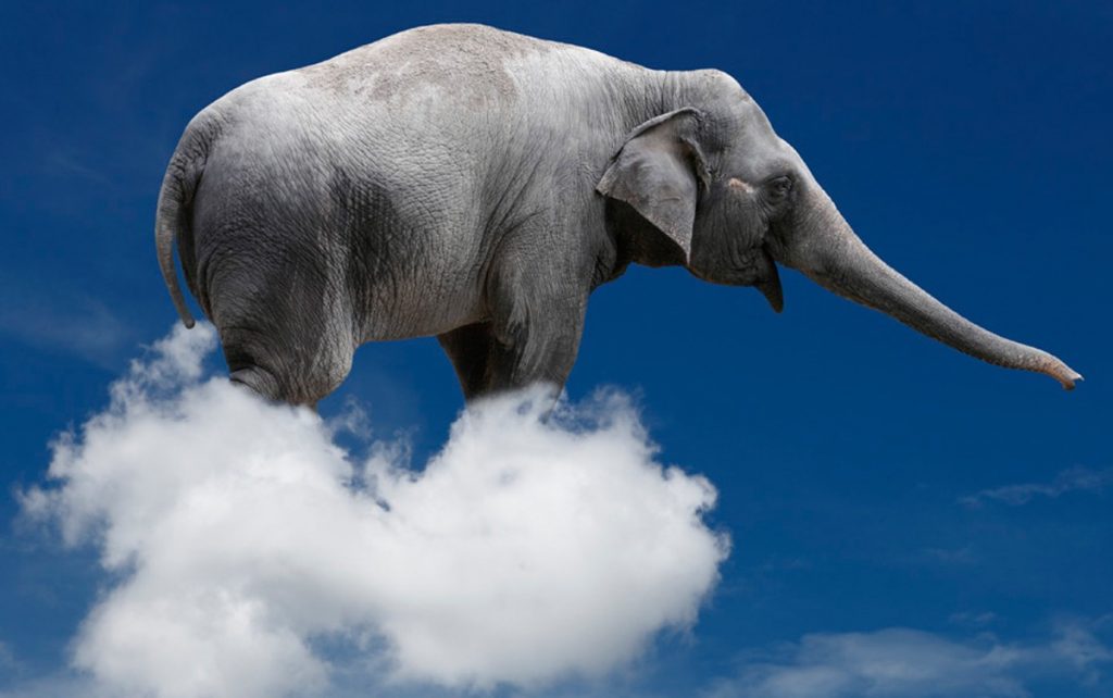 Elefante en una nube