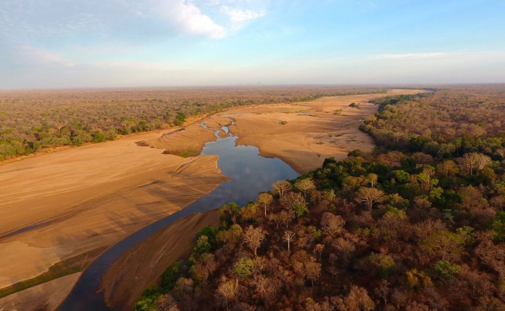 Reserva Nacional Niassa en Mozambique- James Allen, Wildlife Conservation Society