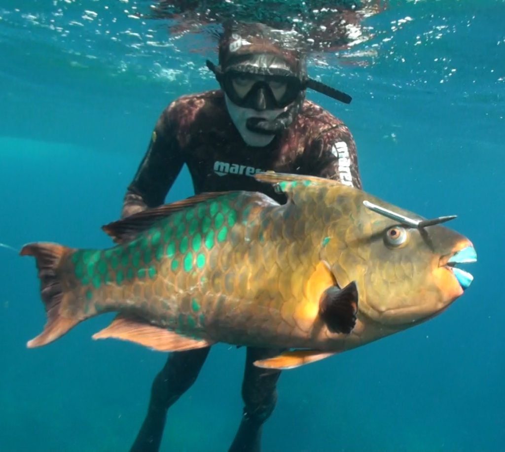 Campeón Mundial de pesca submarina, Joseba Kerejeta, con un pez guacamayo