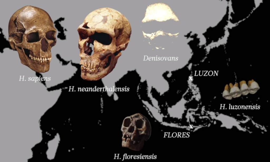 Mapa de ubicación de los homínidos descubiertos