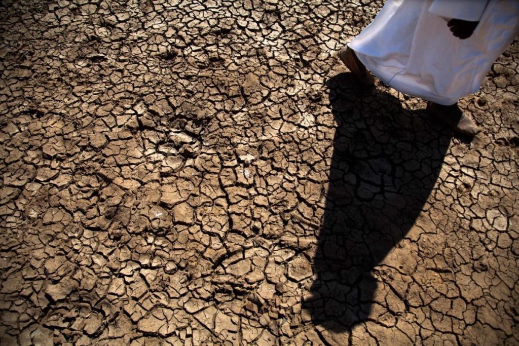 Por la desertificación, en 2025 podrá haber 1,800 millones de personas que vivan en una escasez absoluta de agua