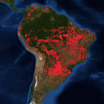 Los «Pulmones del mundo» arden: La Amazonia se está quemando