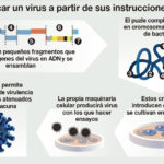 Como fabricar un virus en un laboratorio para buscar su vacuna. El caso del coronavirus de Wuhan