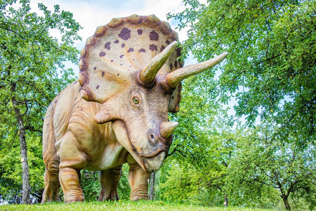 Triceratop- Pixabay