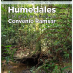 Humedales: A 50 años de la firma del Convenio Ramsar