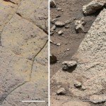 Marte pudo haber albergado vida microbiana: NASA