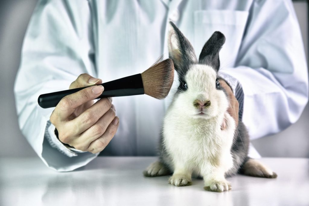 La Unión Europea prohíbe experimentar con animales, para fines cosméticos