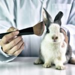 La Unión Europea prohíbe experimentar con animales, para fines cosméticos