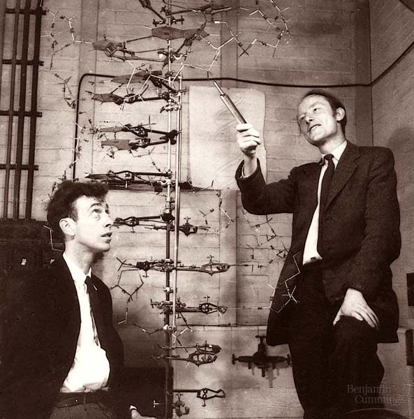 Watson y Crick, ADN 1953