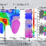 El accidente de Fukushima aumentó cien veces el estroncio radiactivo en las costas de Japón