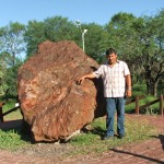 Campo del Cielo: 1576, la primera búsqueda del meteorito más grande que se conserva hasta hoy