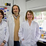 Patentan bacterias capaces de producir biodiésel de forma más eficiente y limpia