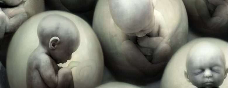 Clonación humana