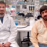 Identifican un gen capaz de convertir el colesterol en provitamina D