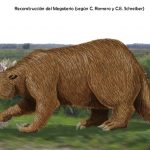 Presentan al «megaterio» un perezoso gigante del Pleistoceno, exterminado por el hombre: 24 de febrero de 2004