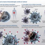 La inmunoterapia contra el cáncer, el avance científico del año