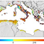 El cambio climático modificará el mapa de producción del olivo en el Mediterráneo