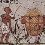 Probablemente los reyes egipcios se trasladaban en burros y no en literas