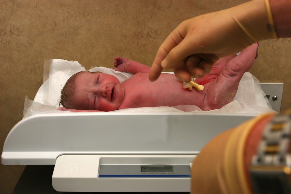 Zoé Leyland, primer bebé de embrión ultracongelado. Nace el 28 de marzo de 1984