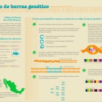 «Códigos genéticos de la vida silvestre», futuras pruebas contra el tráfico ilegal