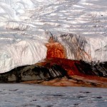 Cascada de Sangre en la Antártida: Microorganismos que respiran hierro, presentados 19 de mayo de 2009