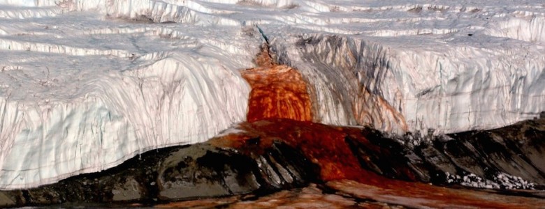Cascada de Sangre en la Antártida: Microorganismos que respiran hierro, presentados 19 de mayo de 2009 Cascada de Sangre en la Antártida