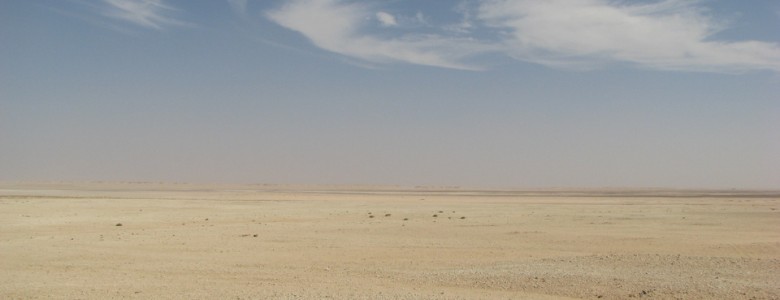 Día Mundial de Lucha contra la Desertificación: Cada minuto se pierden 23 hectáreas de tierra Día Mundial de Lucha contra la Desertificación: Cada minuto se pierden 23 hectáreas de tierra