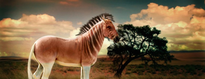 Secuenciar ADN de animales extintos: Primer caso, el quagga, 4 de junio de 1984 Quagga