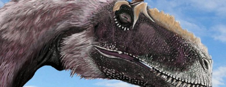 Los dinosaurios encogieron durante 50 millones de años para convertirse en aves Un grupo de pájaros (Longirostravis) acicalándose sobre la cabeza de uno de sus dinosaurios parientes (Yutyrannus)- Science, Brian Choo