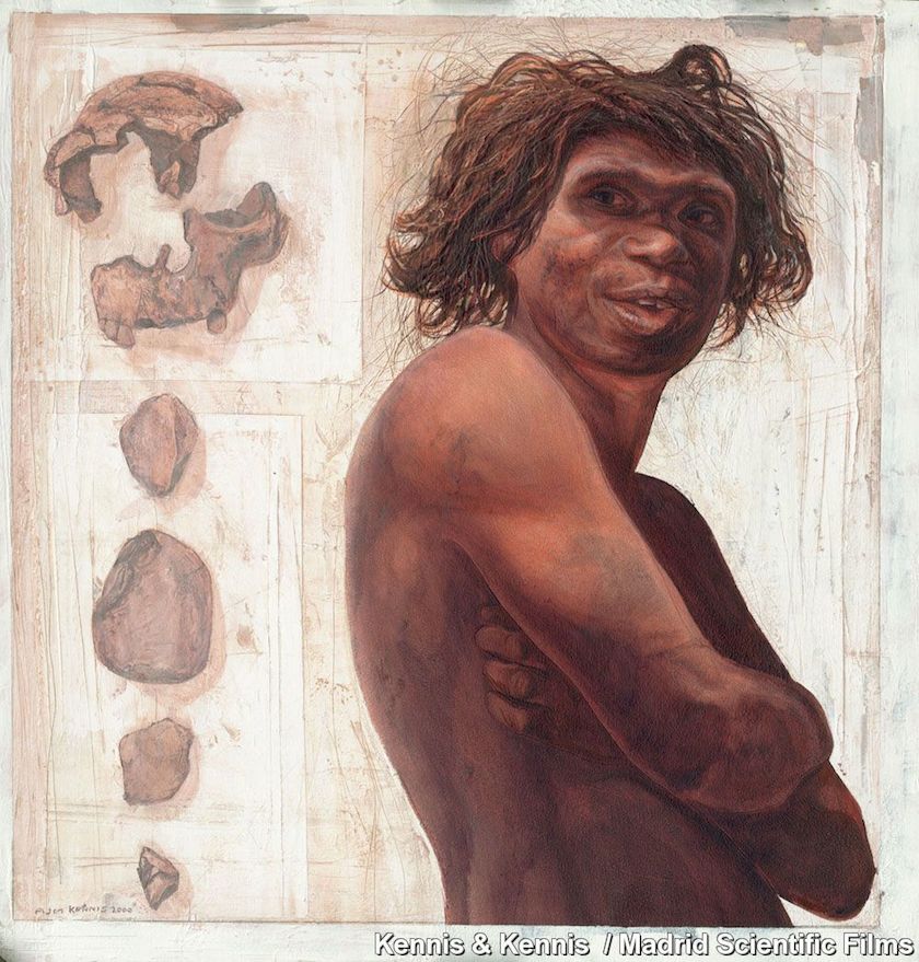 Homo antecessor- kenis & kenis