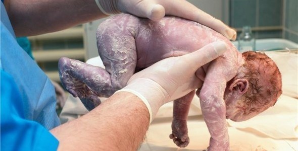 Desde la placenta, buscan los genes que predisponen a la obesidad, científicos mexicanos Desde la placenta, buscan los genes que predisponen a la obesidad, científicos mexicanos