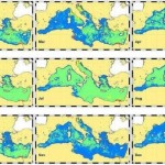 Un algoritmo para detectar vía satélite el fitoplancton del Mediterráneo