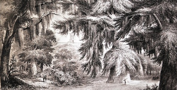El Bosque de Chapultepec- Casimiro Castro