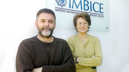 Descubren el tercer linaje asociado al genoma europeo actual Descubren el tercer linaje asociado al genoma europeo actual