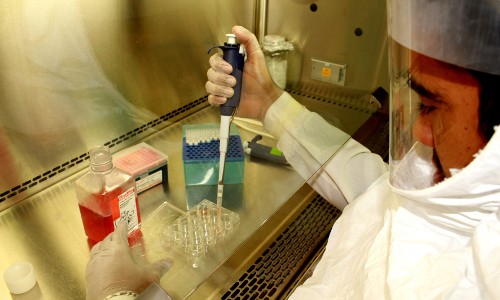 Buscar los orígenes del pueblo cubano con muestras de hepatitis B