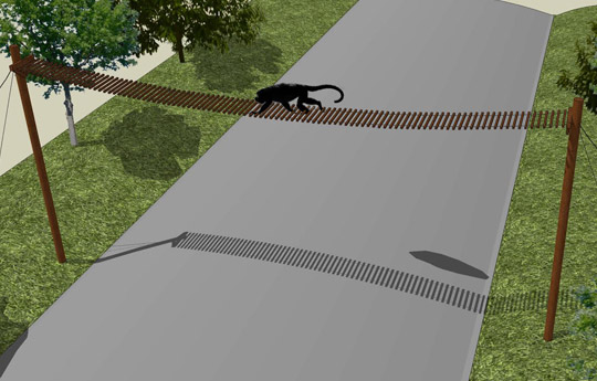 Construirán puentes pasafauna para proteger a las poblaciones de monos, en Argentina.