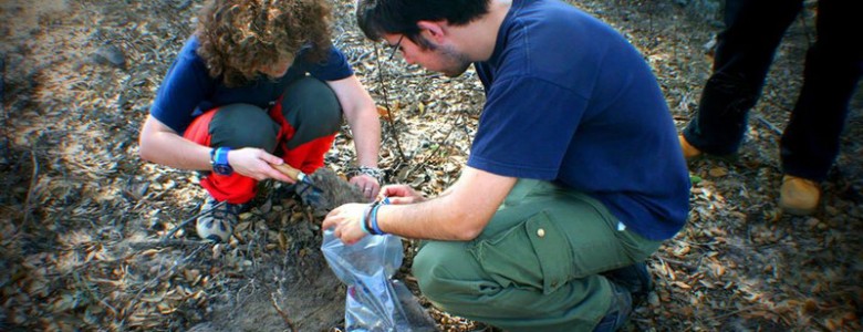 Toma de muestras de suelo en el Parque Doñana después de un incendio- US