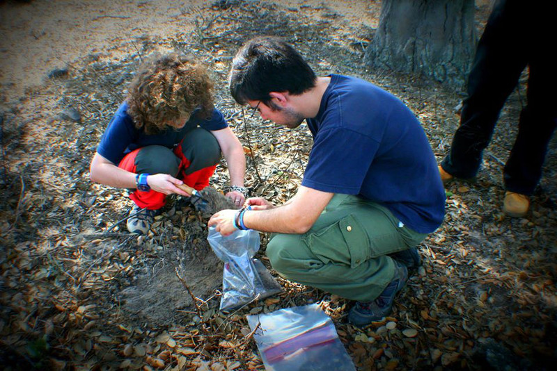 Toma de muestras de suelo en el Parque Doñana después de un incendio- US
