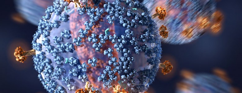 Virus del VHI- Imagen C. Bickel­ / Science Translational Medicine