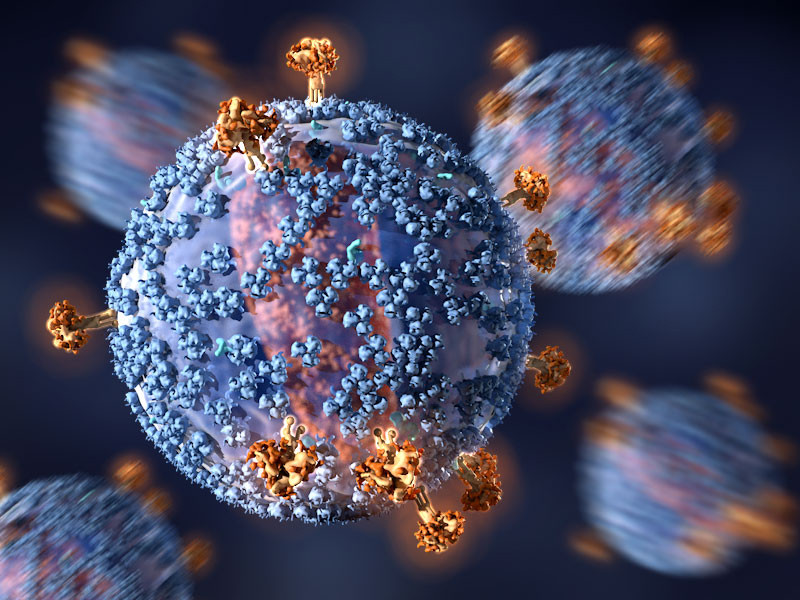 Virus del VHI- Imagen C. Bickel­ / Science Translational Medicine