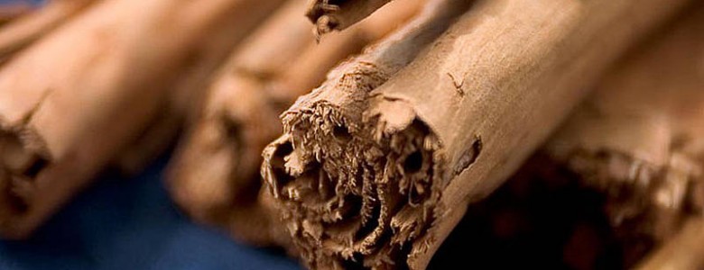 Canela y pimienta con actividad biológica para control de plagas