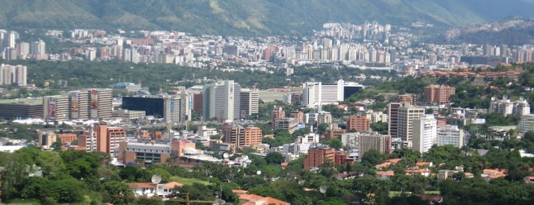 Hábitat combinado con el ser humano, para que sobrevivan las especies Ciudad entre la vegetación