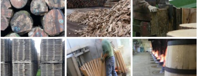 Fabricación de barricas para vino- UPM