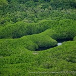 2 de febrero: Día Mundial de los Humedales. ‎México‬ 2º lugar ‪en Sitios Ramsar‬ con 142