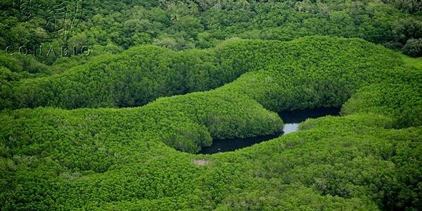 2 de febrero: Día Mundial de los Humedales. México 2º lugar en Sitios Ramsar con 142 Humedales- Joanna Acosta Velázquez, CONABIO-SEMAR