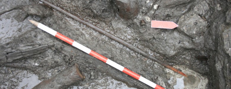 La caza con arco durante el Neolítico pudo ayudar a la cohesión social La caza con arco durante el Neolítico pudo ayudar a la cohesión social