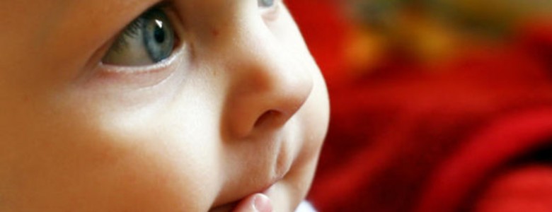 Los bebés comprenden que el gesto comunicativo se integra con el habla